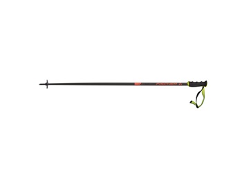 Fischer RC4 THE CURV AL 2020/2021