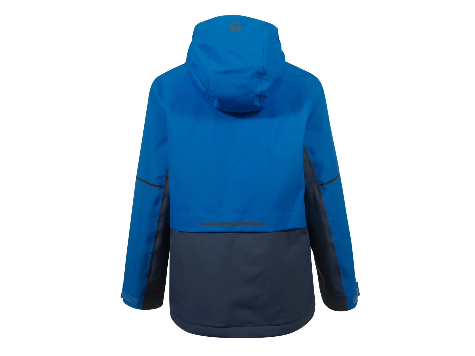 Halti Peets Jr DX ski