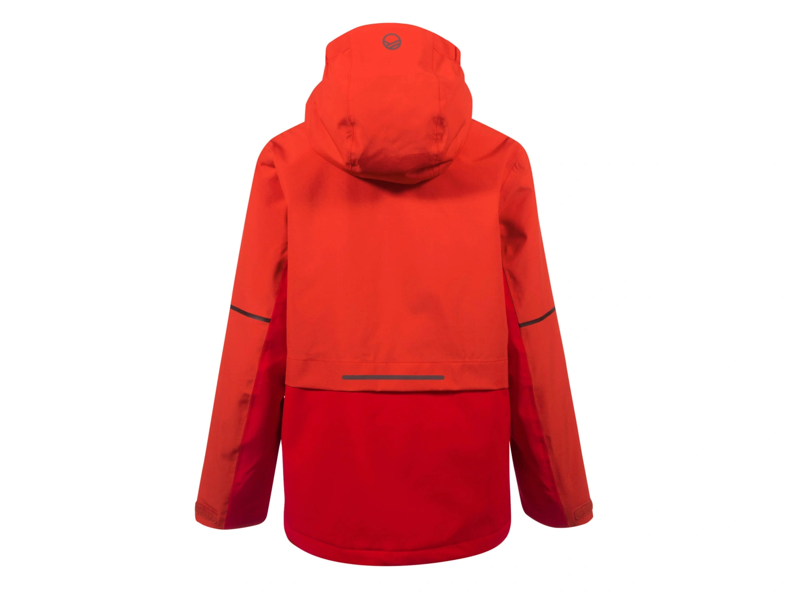 Halti Peets Jr DX ski