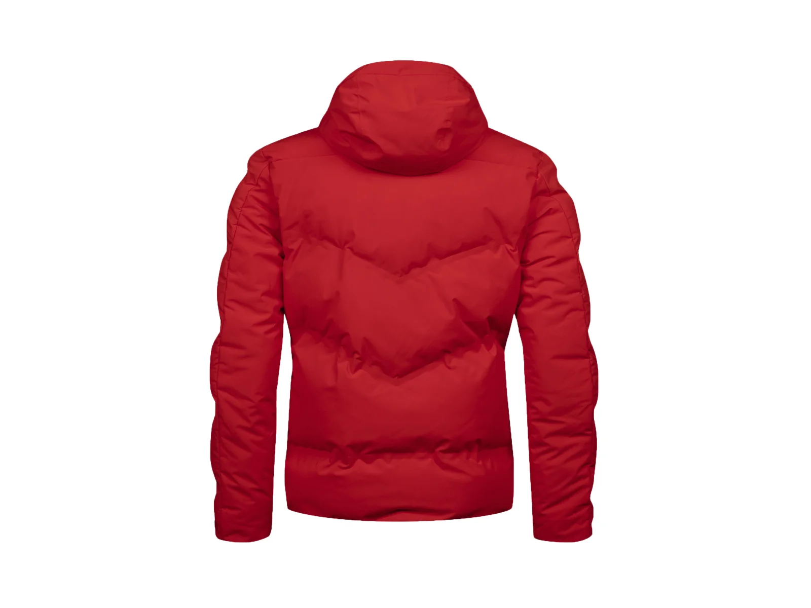 Halti Nordic M Arcty II