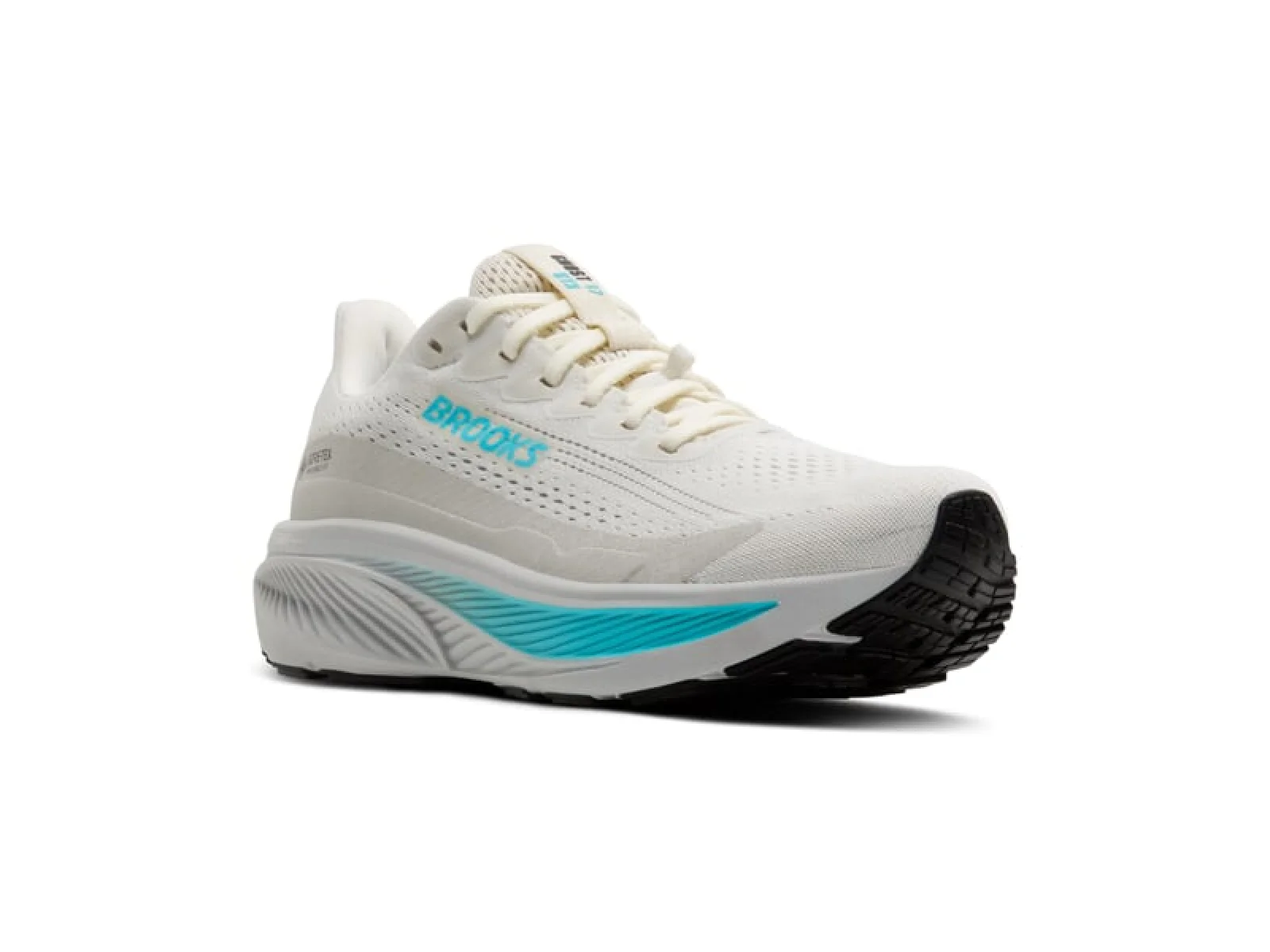 Brooks Ghost 17 GTX Women