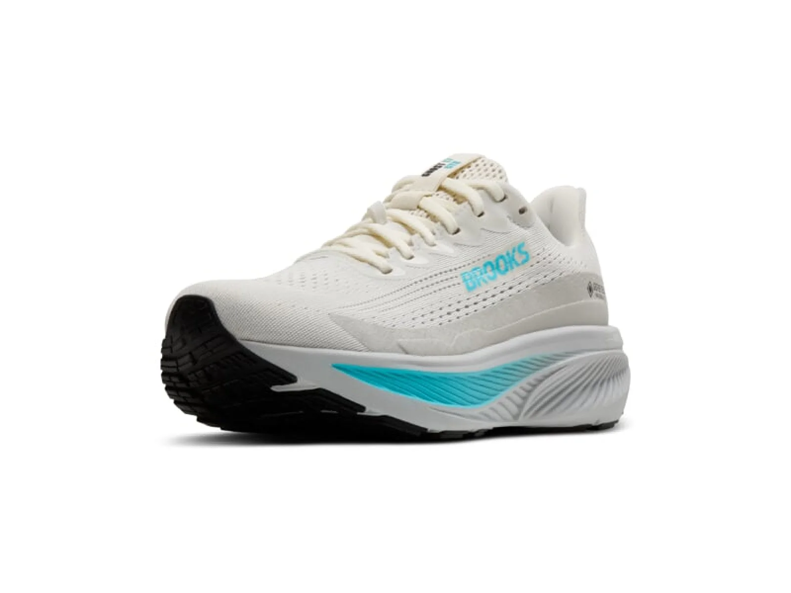 Brooks Ghost 17 GTX Women