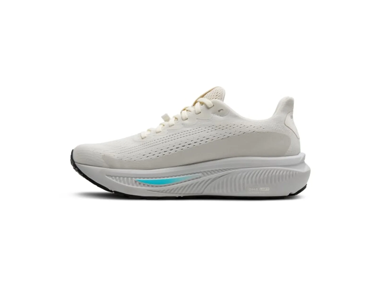 Brooks Ghost 17 GTX Women