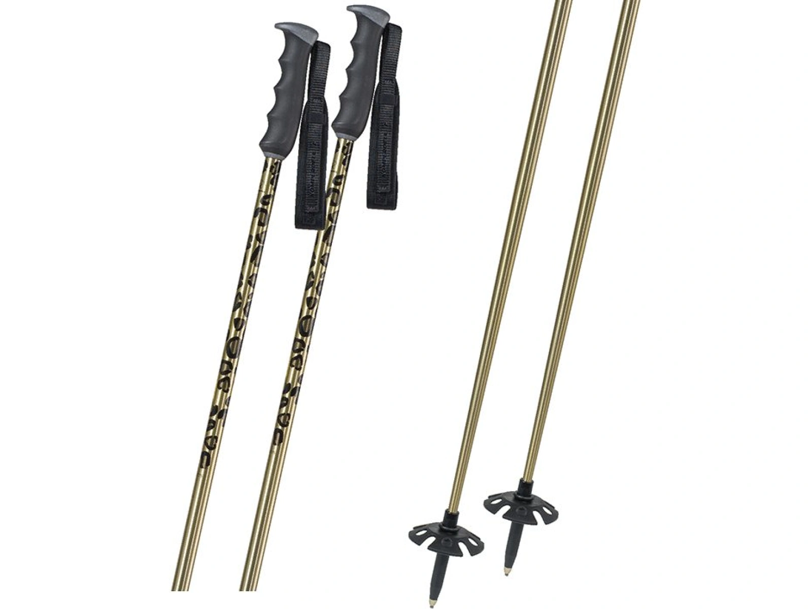 Komperdell BIG CAT Gold 2025/26