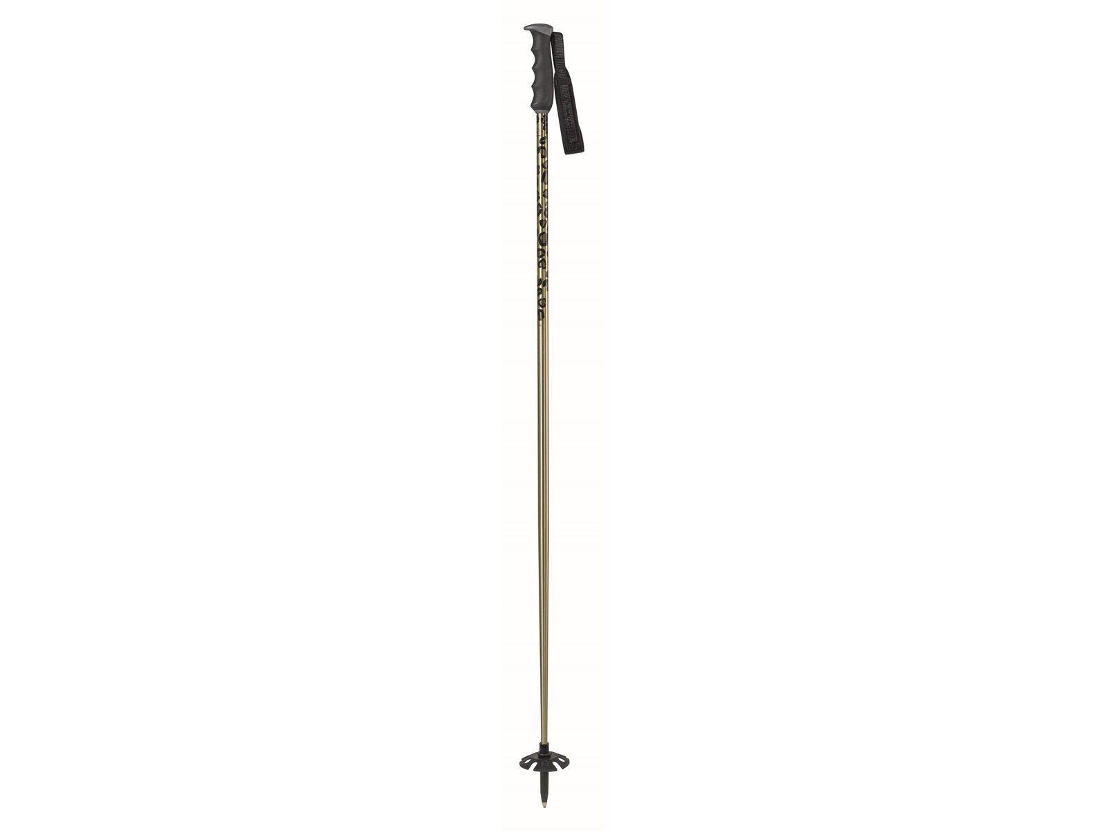 Komperdell BIG CAT Gold 2025/26
