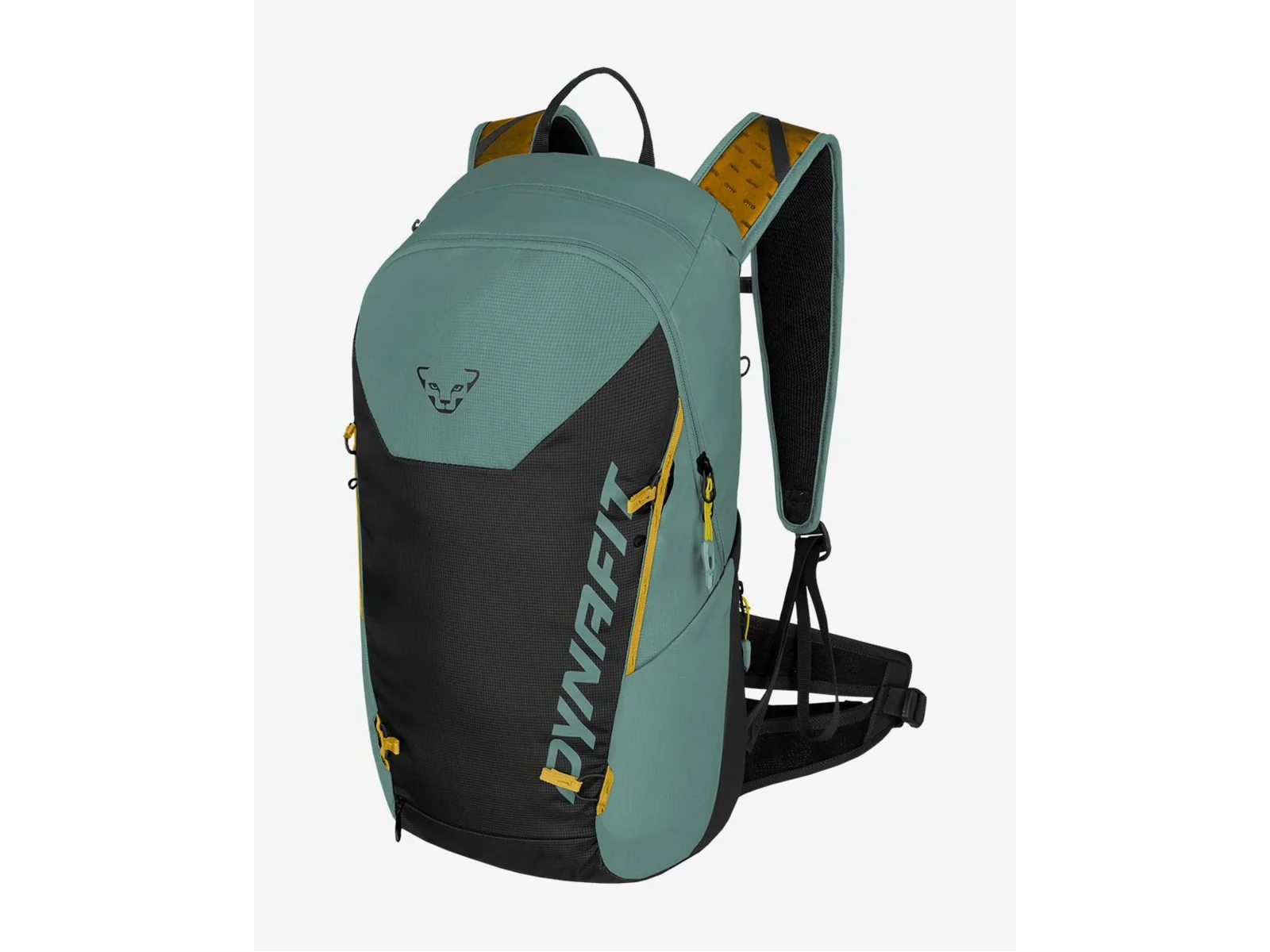 Dynafit TRANSALPER 24 Atlantic/Black Out