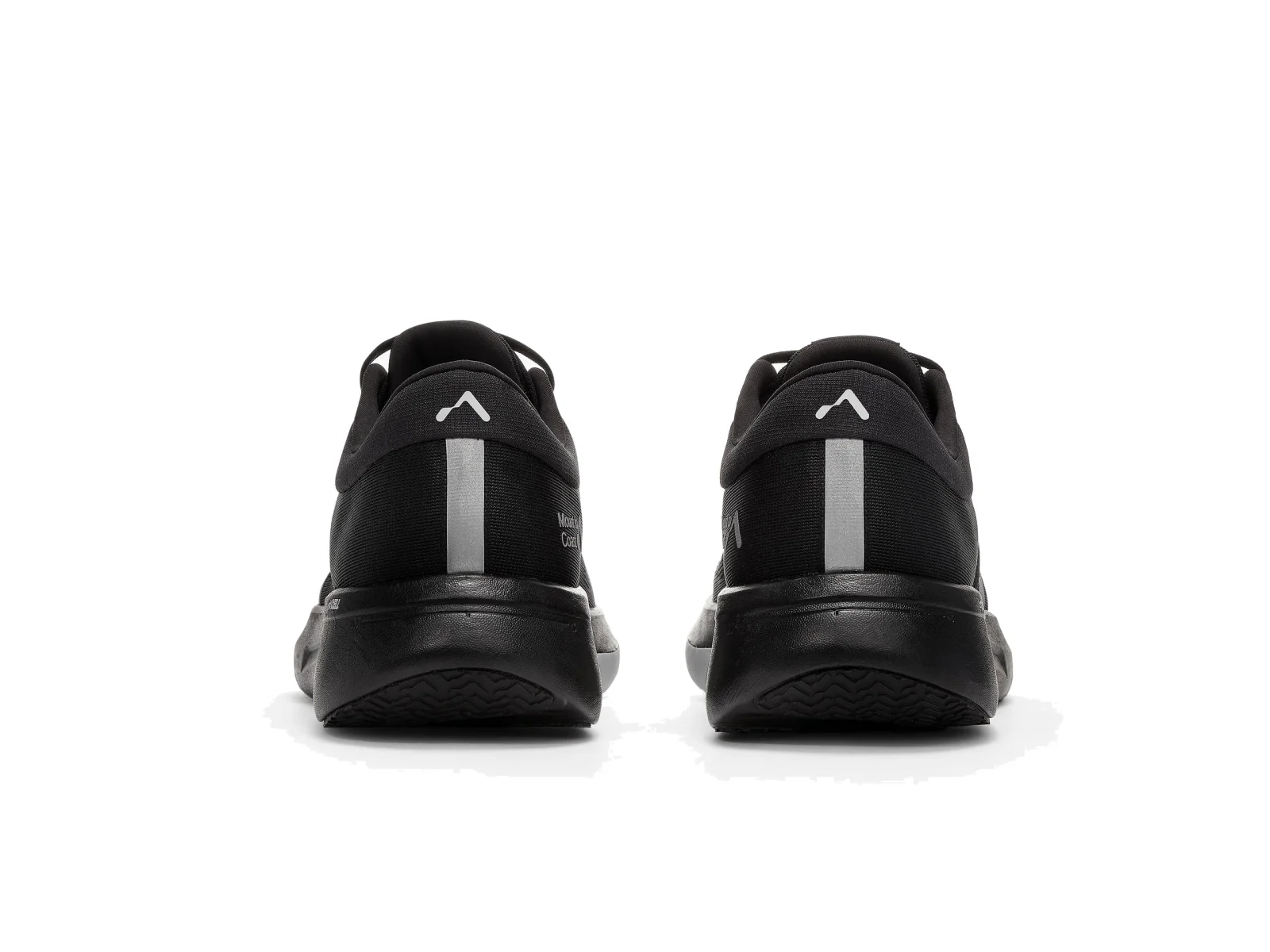 Mount to Coast R1 Black M