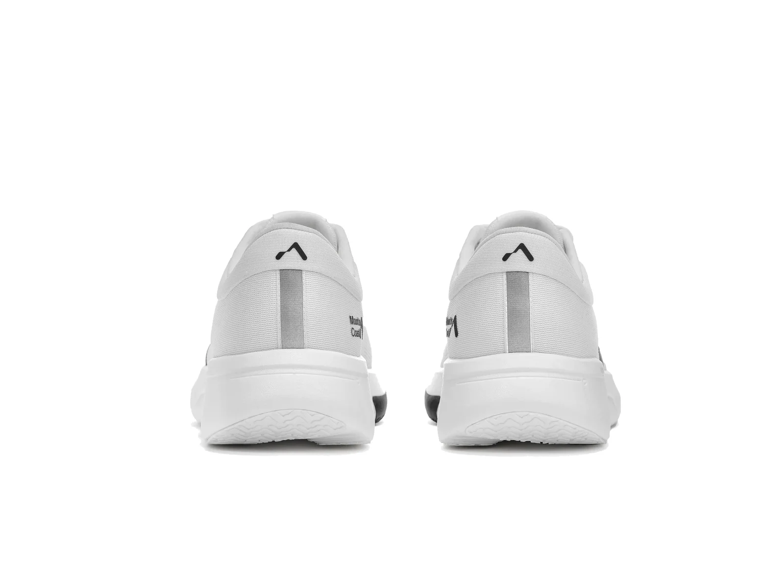Mount to Coast R1 White M