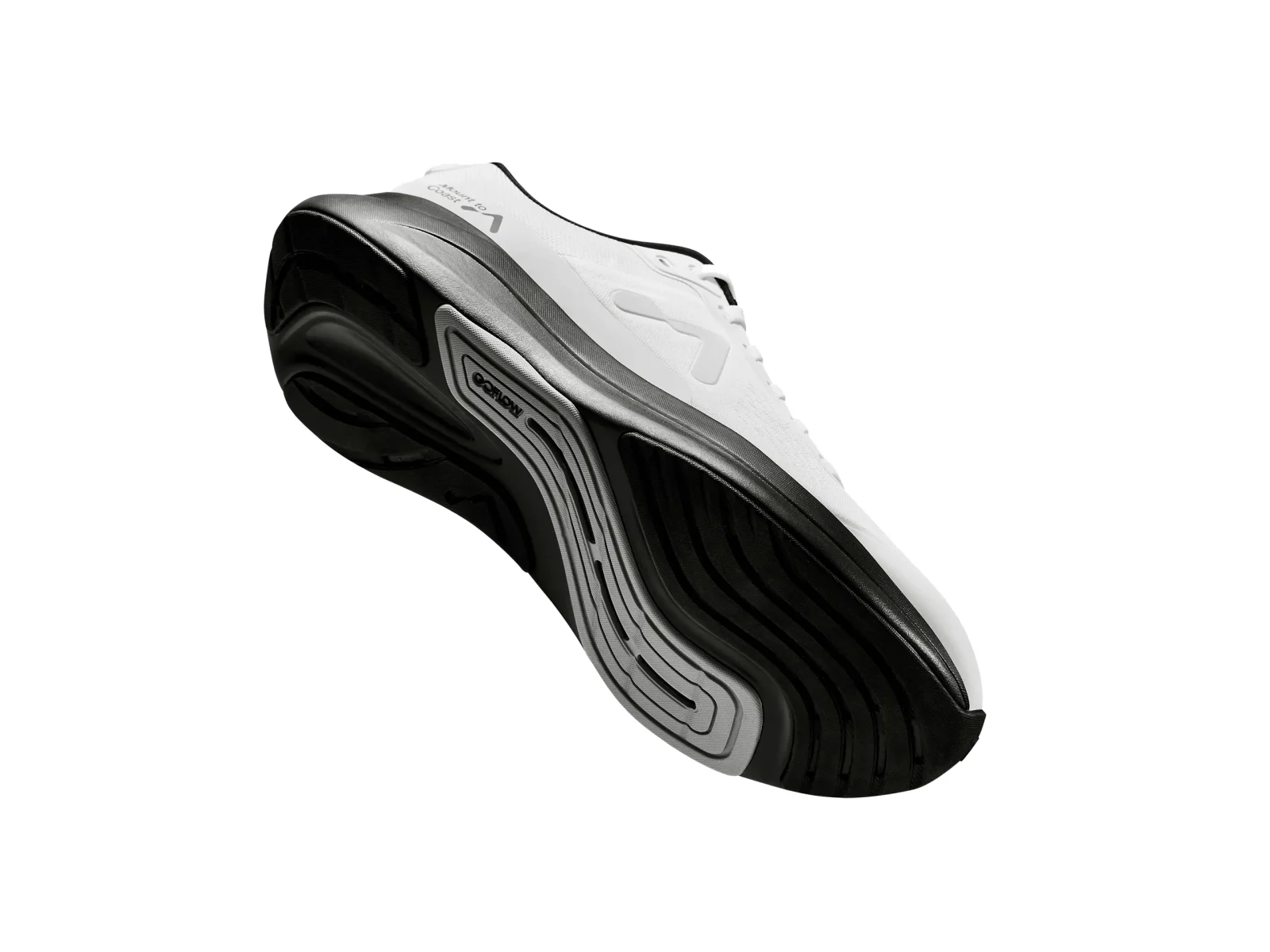 Mount to Coast P1 White/Black W