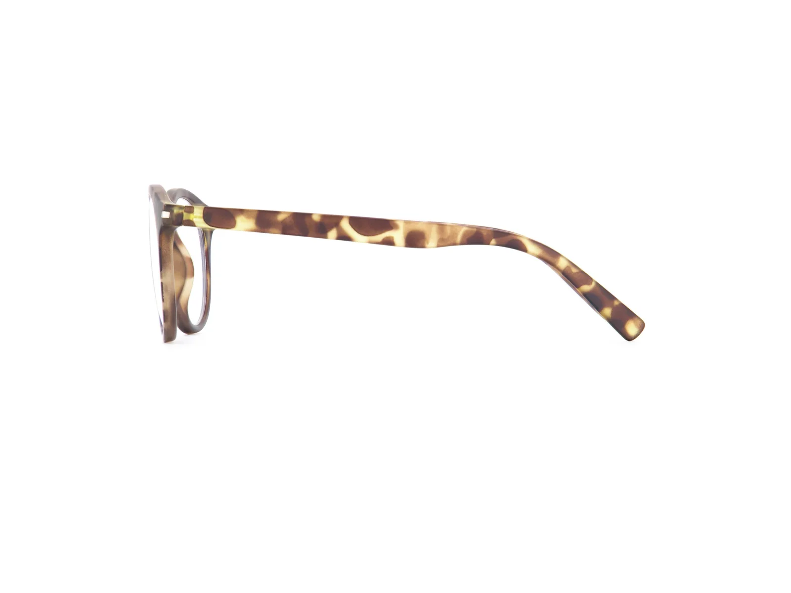 Sinner PATNEM OLIVE TORTOISE